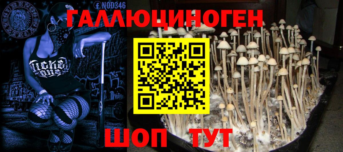 Галлюциногенные грибы ЛСД Кировск