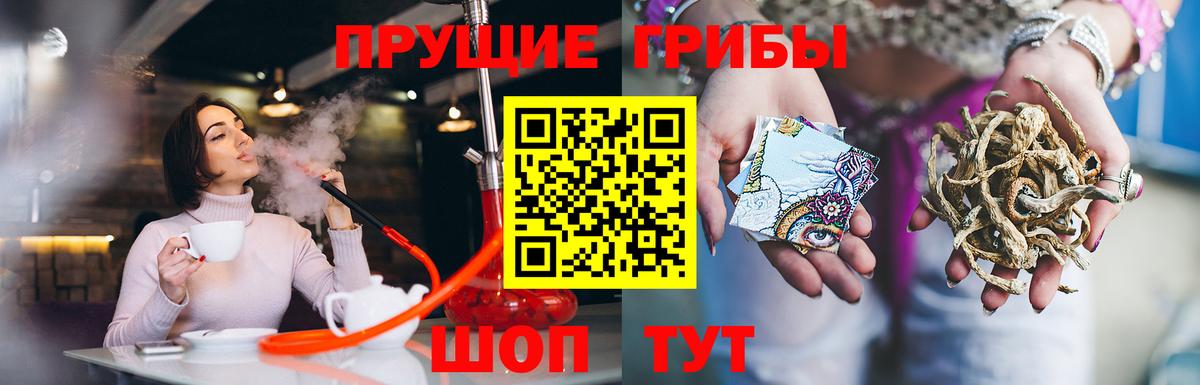 как найти наркотики  Галлюциногенные грибы Cubensis  Вход с VPN  Кировск 