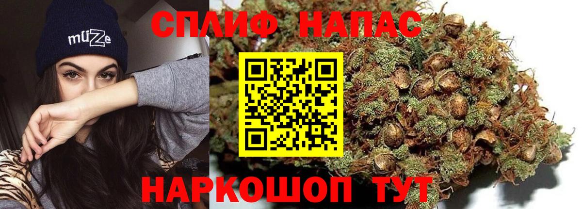 Бошки марихуана план Кировск